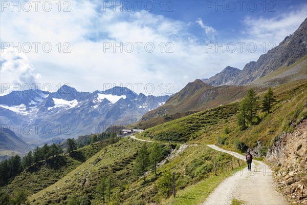 Hikers on the way from the Timmelsjochstrasse to the Oberglanegg Alm