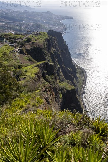 View from Cabo Girao