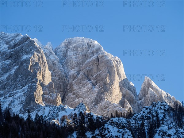 Winter landscape