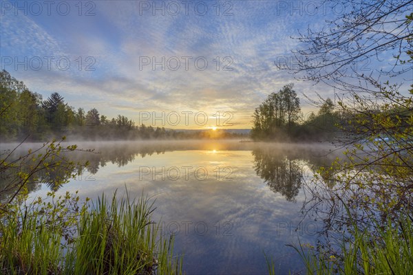 Lake with morning mist at sunrise