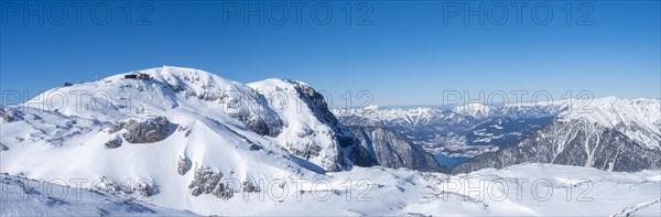 Winter landscape