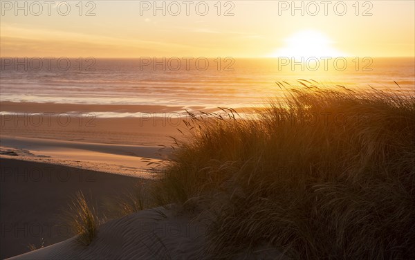 Sunset over the sea