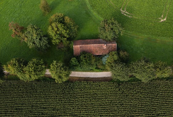 Old house roof in an agricultural landscape with maize field and gravel path from above