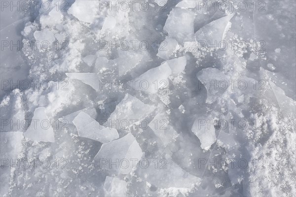 Chunks of ice on a frozen surface