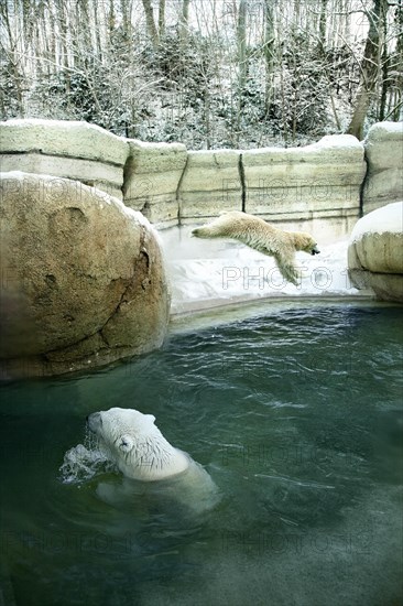 Zoo Hellabrunn