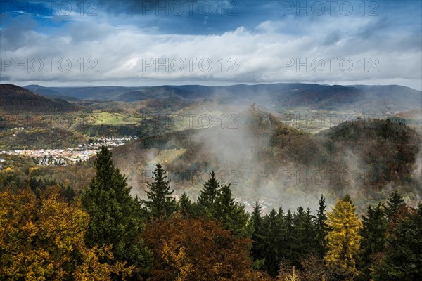 Autumnal coloured forest and mountains