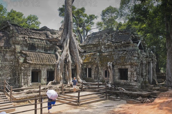 Ancient ruins overgrown by trees