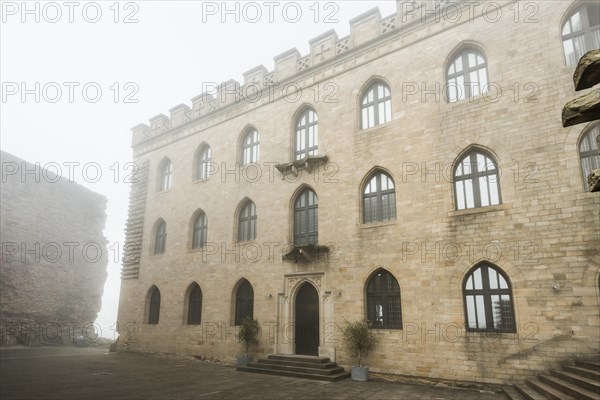 Hambach Castle in the fog