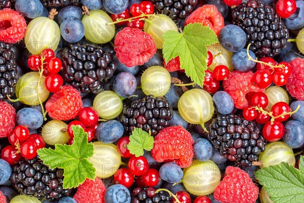 Berries Fruits Berry Fruit like Strawberries Strawberry Fresh Blueberries Blueberry from above