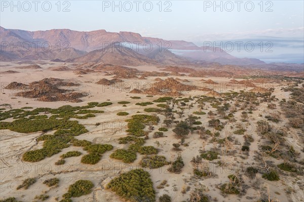 Arid plains and the Brandberg