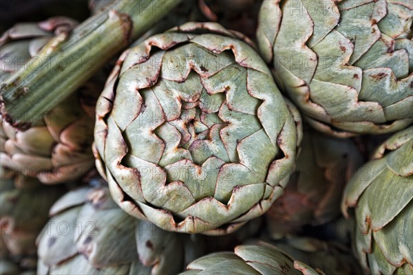 Artichoke