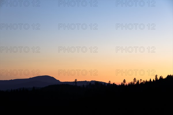 View in the morning light of the Belchen in the Black Forest