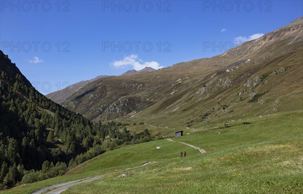 Hikers walking on the alpine pastures in the Rofental