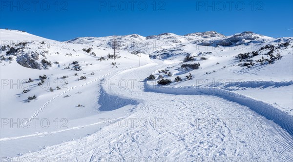 Blue sky over winter landscape