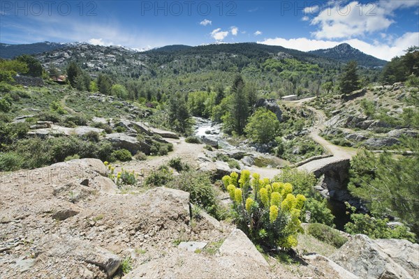 Mountain landscape