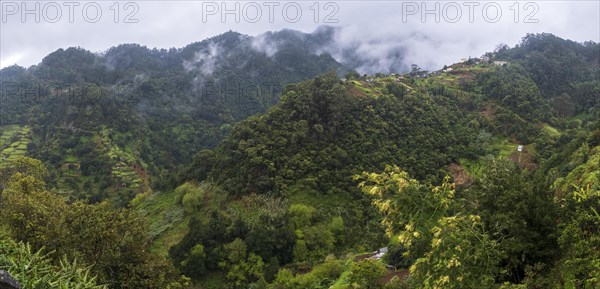 Green gorge with fog near Ribeiro Frio