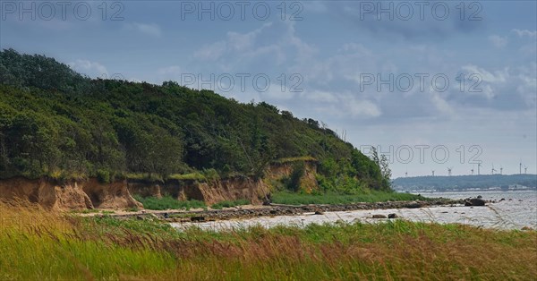 Summer on the cliffs near Timmendorf