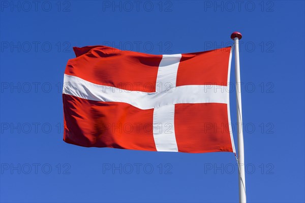 Danish Flag