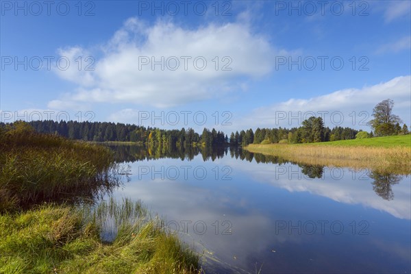 Landscape reflected in lake