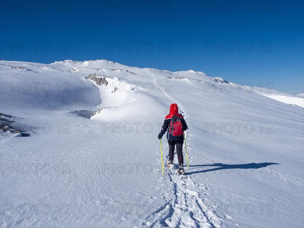 Blue sky over winter landscape