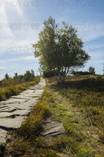 High moor and hiking trail