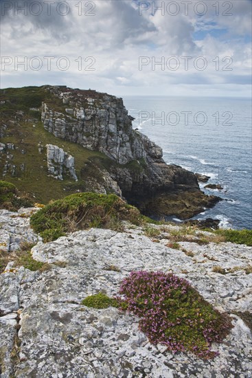 Rocky coast