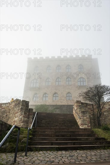 Hambach Castle in the fog