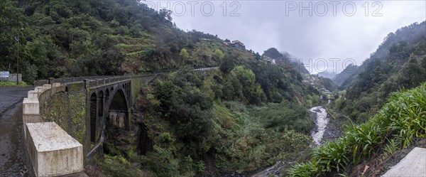 Green gorge with fog near Ribeiro Frio