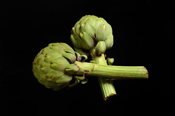 Two artichokes