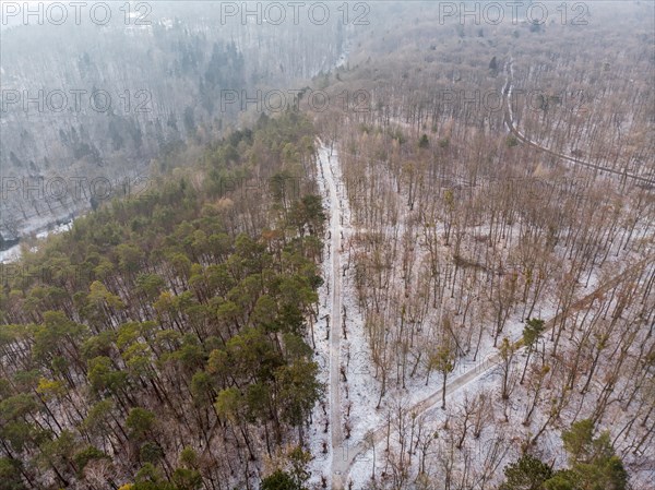 Aerial view of Jena Forest near Stern