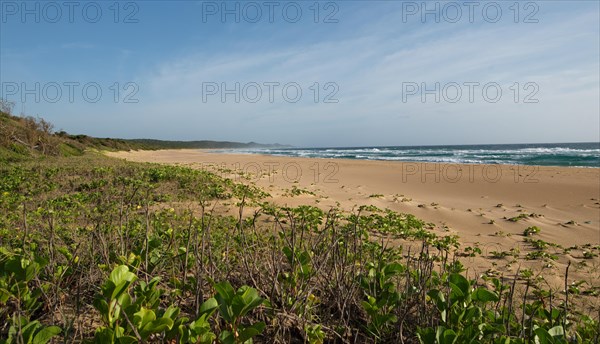 Empty beach on the Indian Ocean near Punta do Ouro