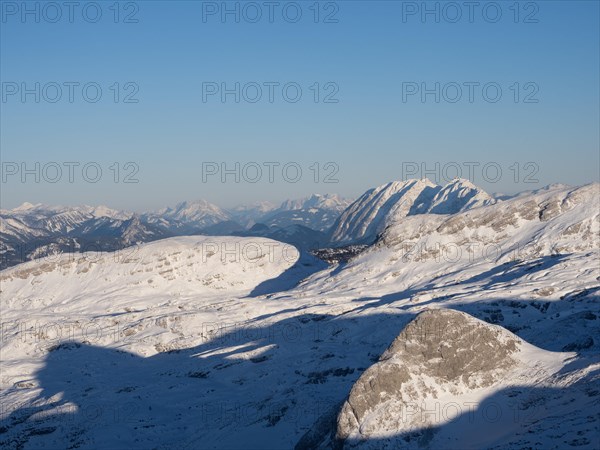 Winter landscape