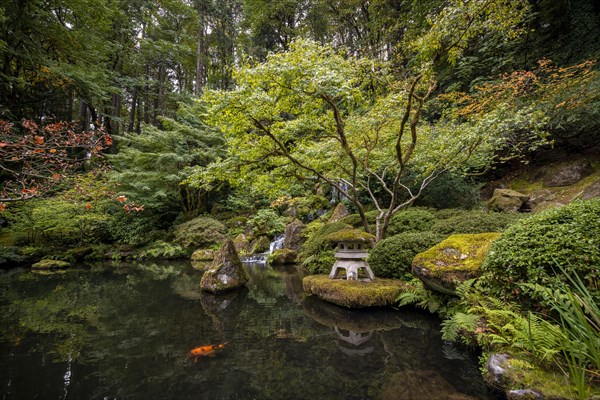 Landscaped pond with waterfall