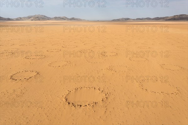 Sandy desert plain with so-called Fairy Circles