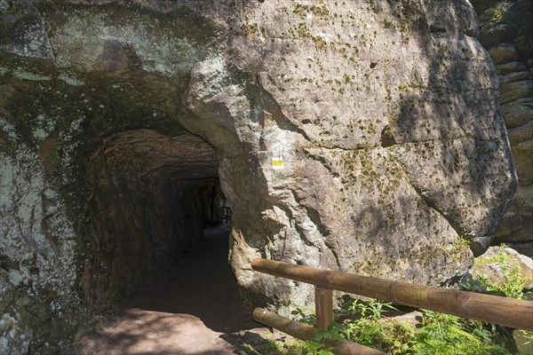 Tunnel in the Kamenice Valley