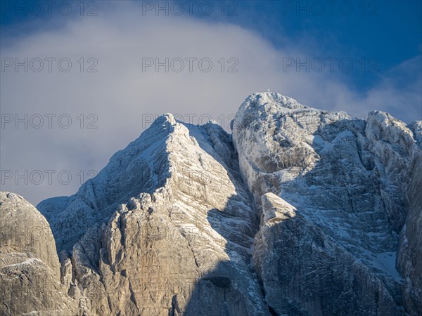 Winter landscape