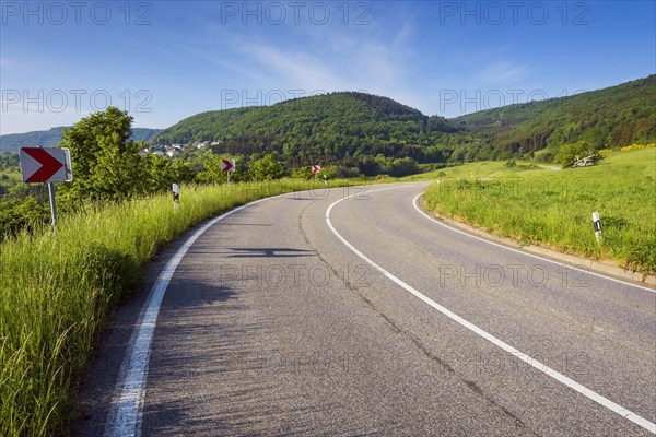 Winding Country Road in Spring