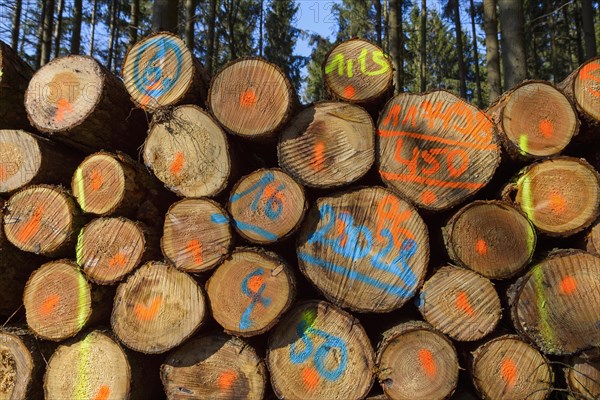 Firewood Stack with Colored Markers