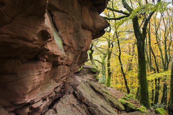 Autumn-coloured forest and sandstone rocks