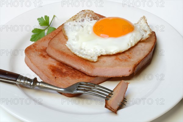 Meat loaf with fried egg