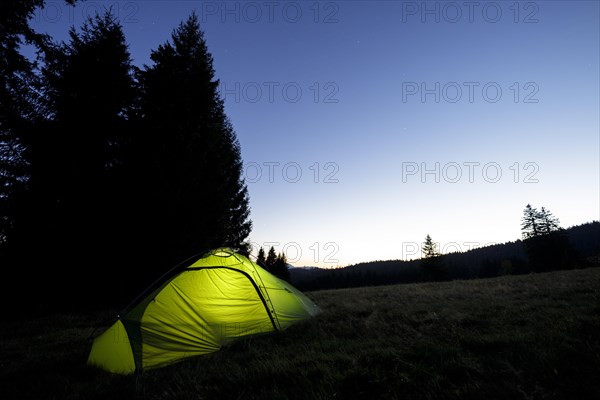 Illuminated green tent at the edge of the forest