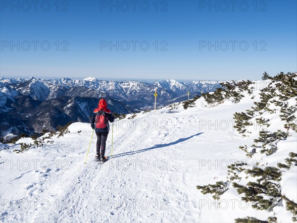 Blue sky over winter landscape