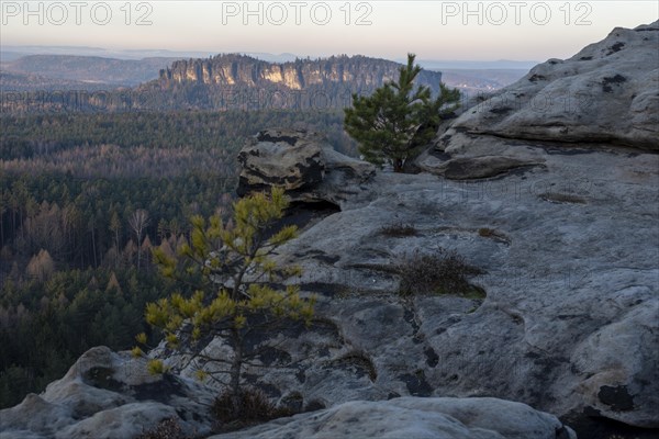 Table Mountain Pfaffenstein