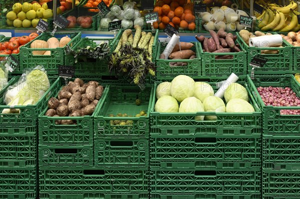 Vegetable boxes