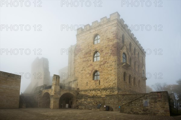 Hambach Castle in the fog