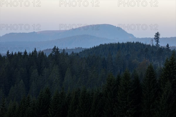 View in the morning light of the Belchen in the Black Forest