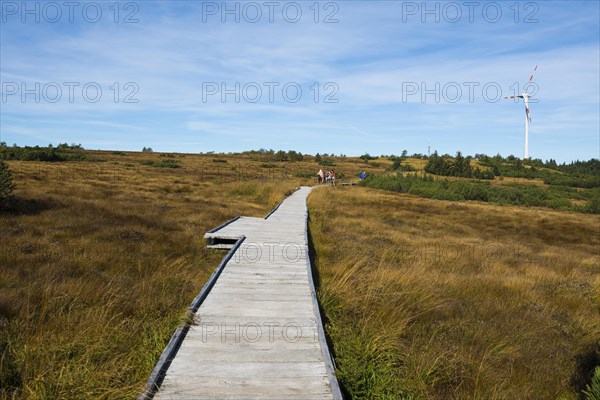 High moor and boardwalk