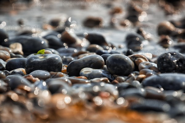 Shiny pebbles on the beach illuminated by the sun