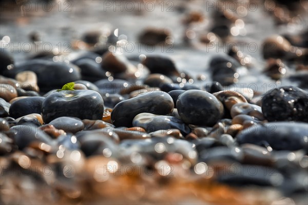 Shiny pebbles on the beach illuminated by the sun