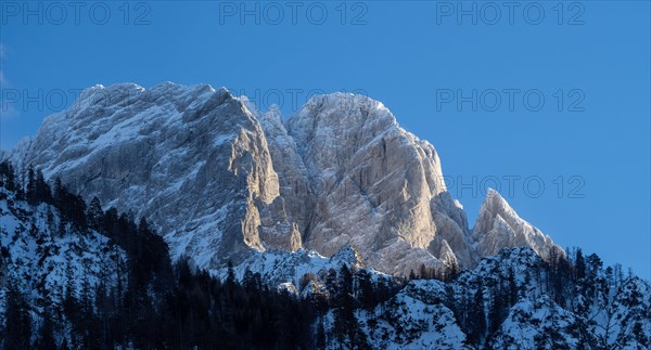 Winter landscape